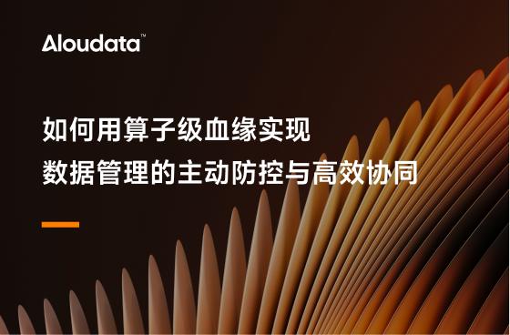 超越血缘展示：如何用算子级血缘实现数据管理的主动防控与高效协同？